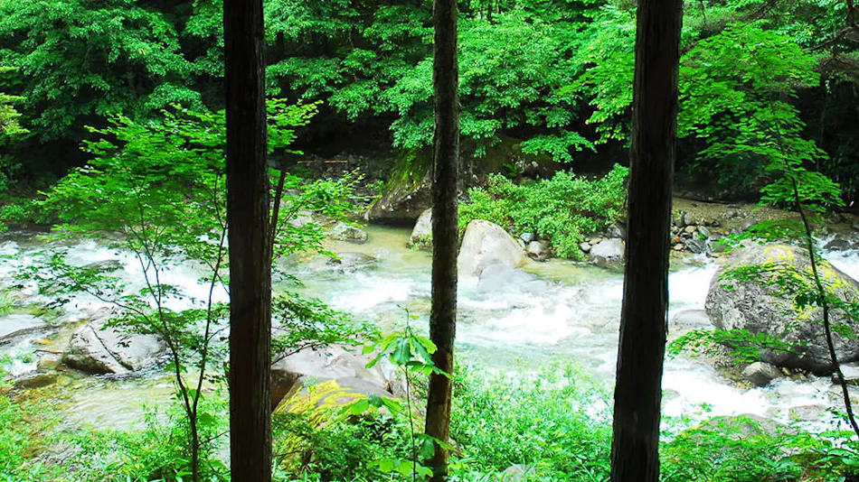 Japanese Inn Hida Takayama Wanosato