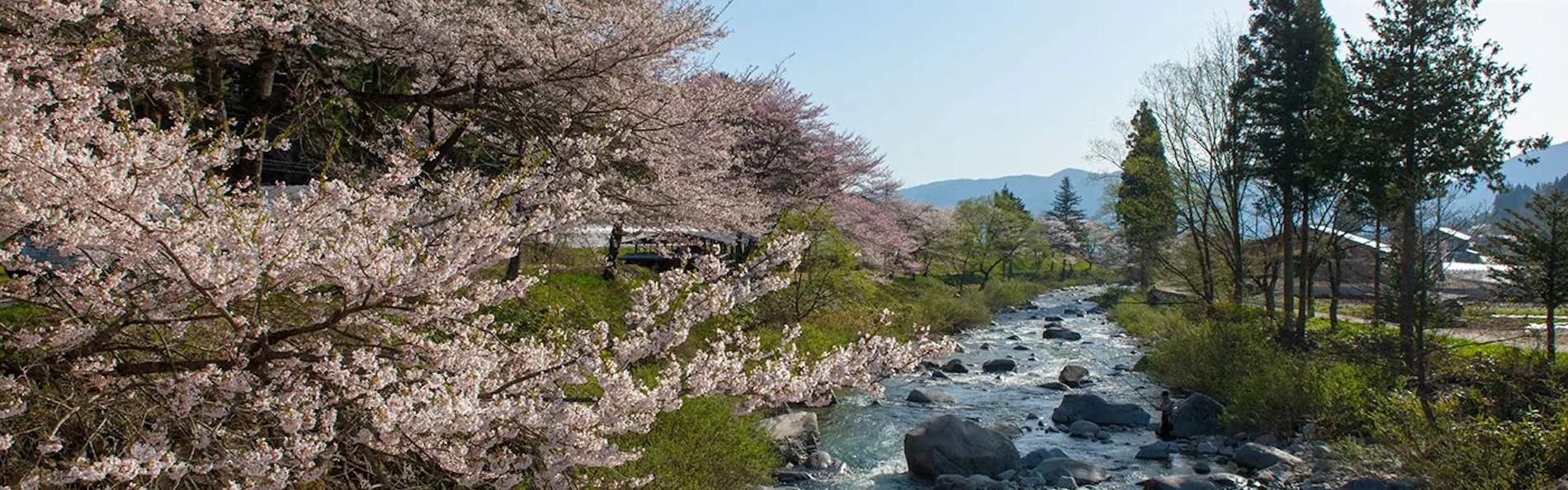 日本の宿 ひだ高山 倭乃里