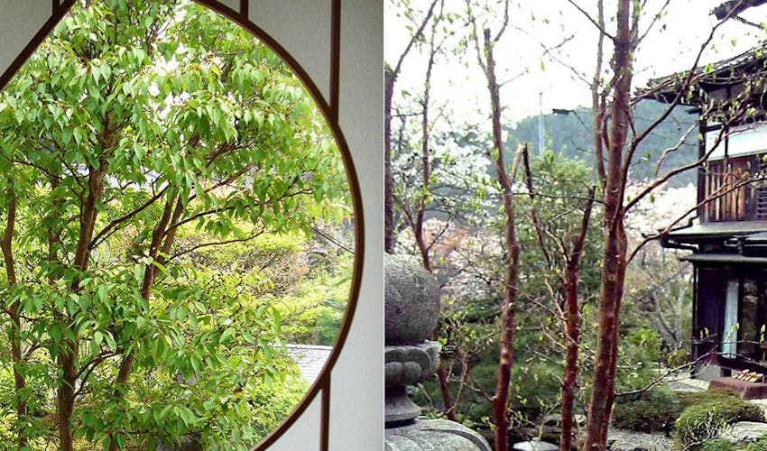 大原温泉湯元 旬味草菜お宿 芹生 の空室状況を確認する 宿泊予約は 一休 Com 大原温泉湯元 旬味草菜お宿 芹生 の空室状況を確認する 宿泊予約は 一休 Com