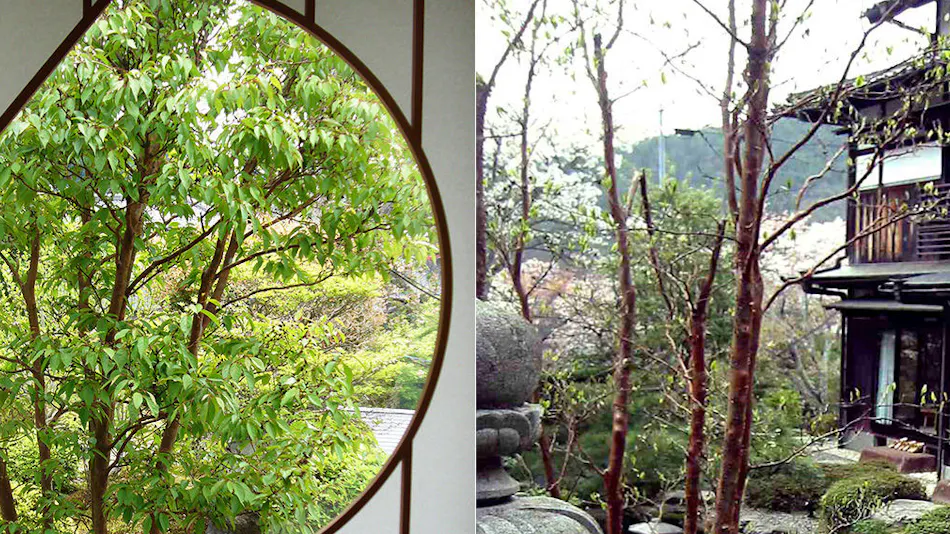 Ohara Onsen Yumoto Shunmi Sosai Oyado Seriyu