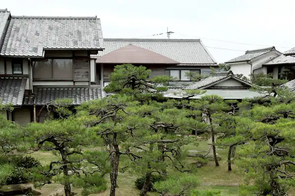 ลานกลาง