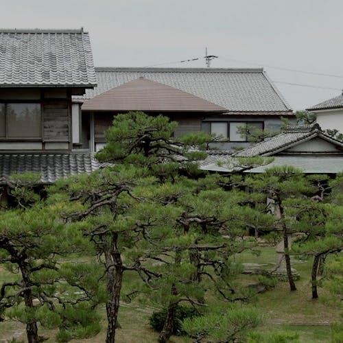 福岡から2時間で クエ をご紹介 最上のひとときをどうぞ 一休 Com 福岡から2時間で クエ をご紹介 最上のひとときをどうぞ 一休 Com