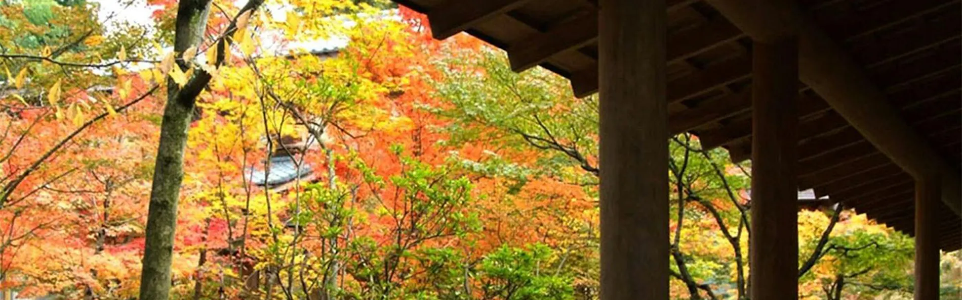 月岡温泉 いま井
