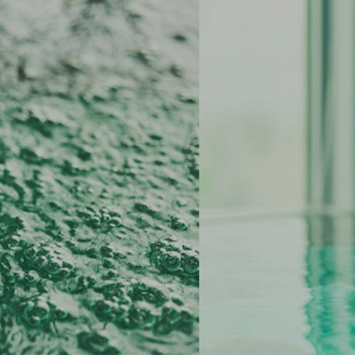 札幌駅周辺で大浴場が人気のホテル 一度は泊まりたい 札幌駅周辺で大浴場が人気のホテル Top12 年 一休 Com