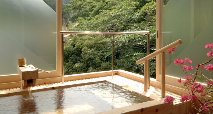 伊豆急下田駅のペットokのお部屋 高級ホテル 旅館 6選 宿泊予約は 一休 Com 伊豆急下田駅のペットokのお部屋 高級ホテル 旅館 6選 宿泊予約は 一休 Com