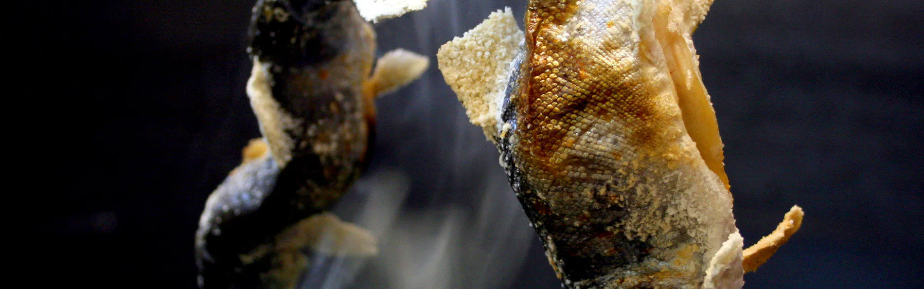 全館源泉掛け流しの宿 西山温泉 慶雲館