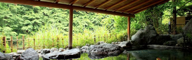 全館源泉掛け流しの宿　西山温泉　慶雲館