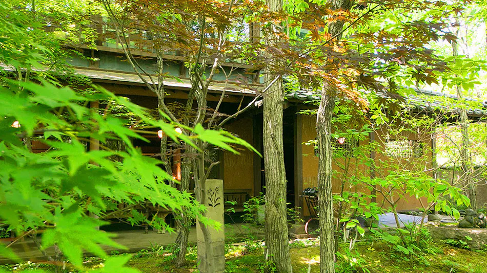 Oyado Nihon no Ashitaba