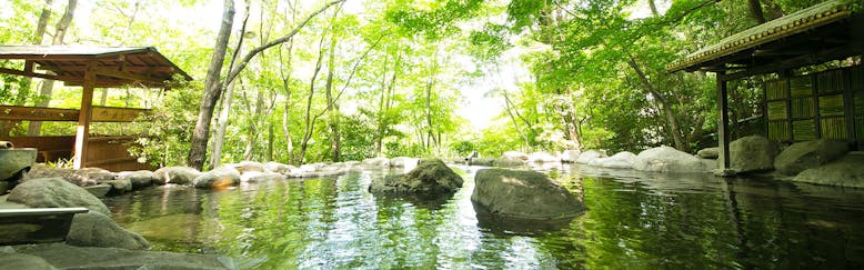 湯布院温泉 由布院 のスイートのお部屋 高級ホテル 旅館 10選 宿泊予約は 一休 Com 湯布院温泉 由布院 のスイートのお部屋 高級ホテル 旅館 10選 宿泊予約は 一休 Com