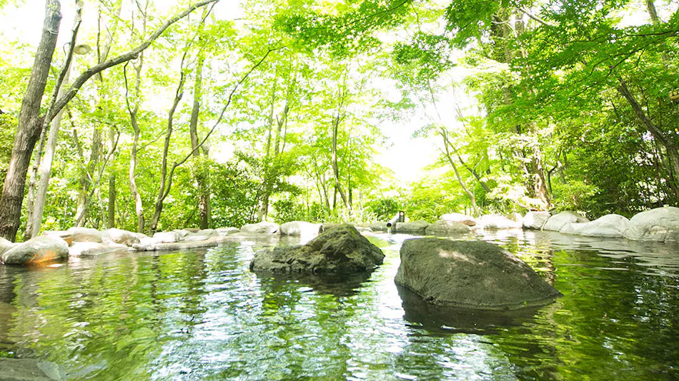 Oyado Nihon no Ashitaba