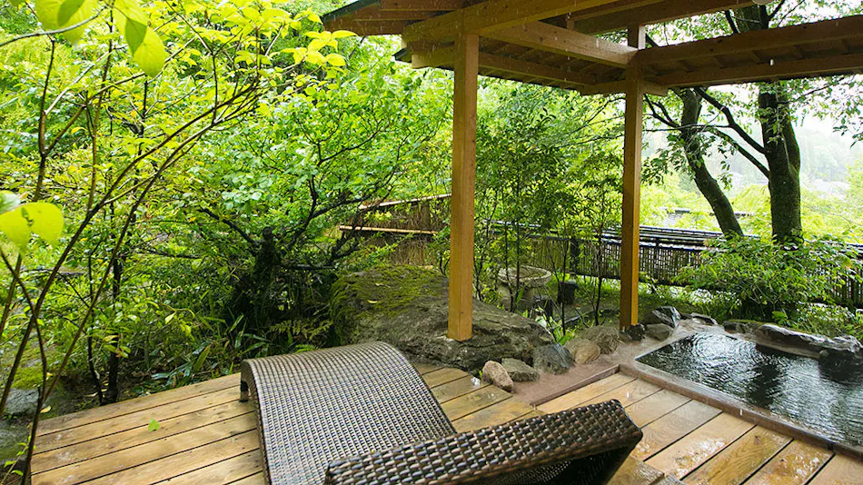 Oyado Nihon no Ashitaba