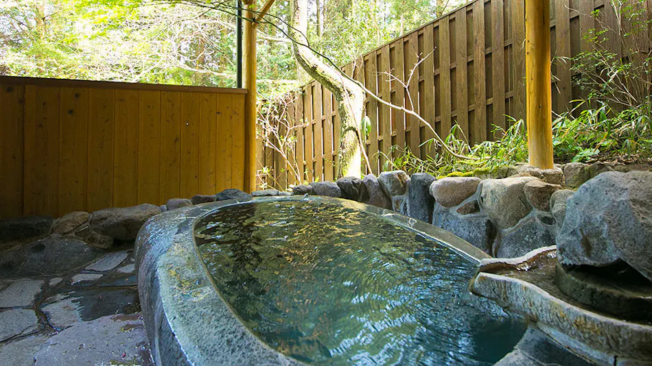Oyado Nihon no Ashitaba