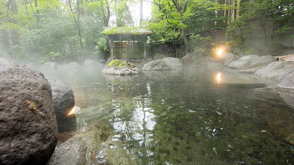 Oyado Nihon no Ashitaba