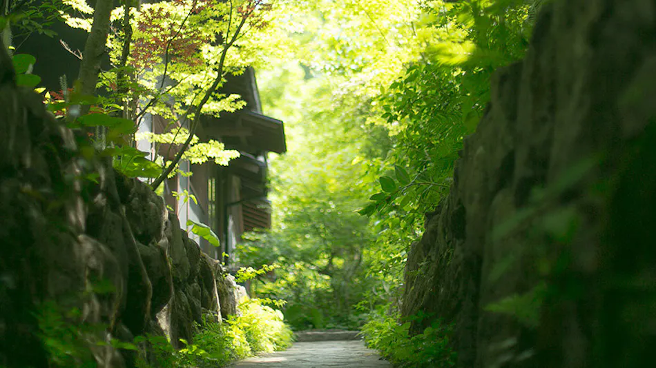 Oyado Nihon no Ashitaba