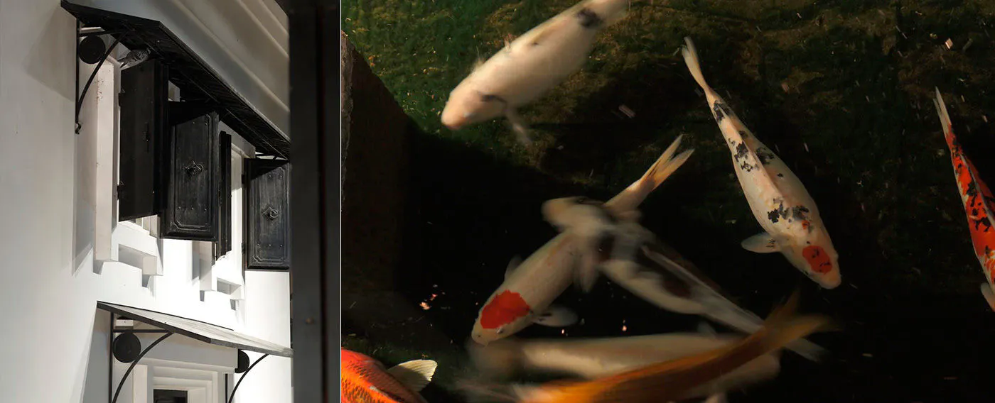 施設内イメージ