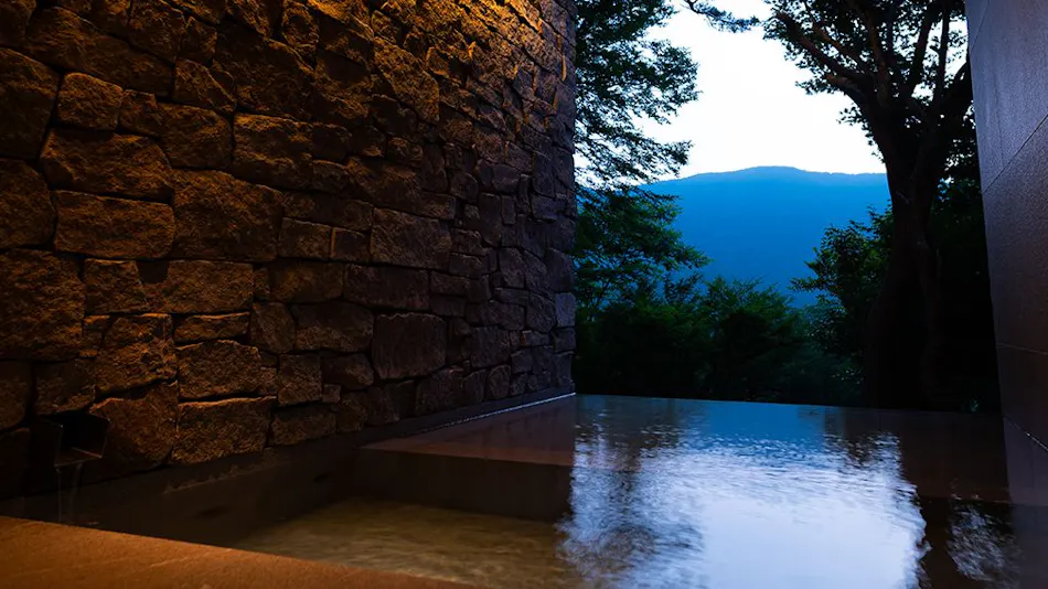 Auberge Hakone Fontaine Bleau Sengokutei