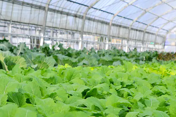 ภายในอาคาร