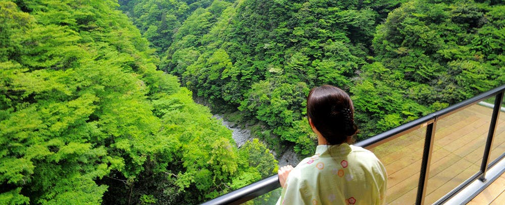 Valley Hideaway Iya Bijin