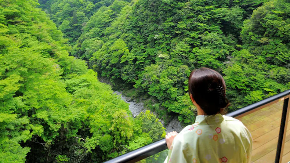 Valley Hideaway Iya Bijin