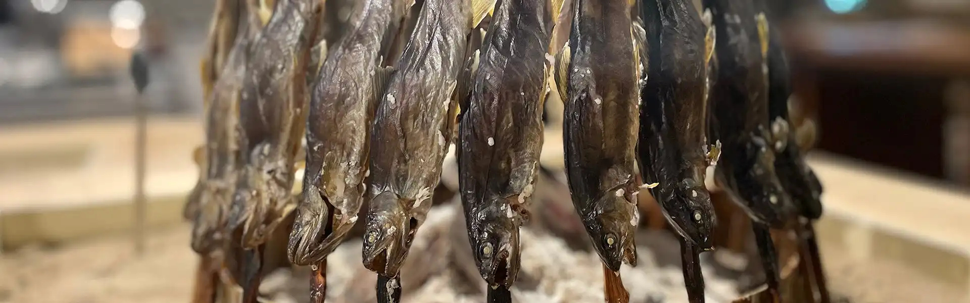 お食事