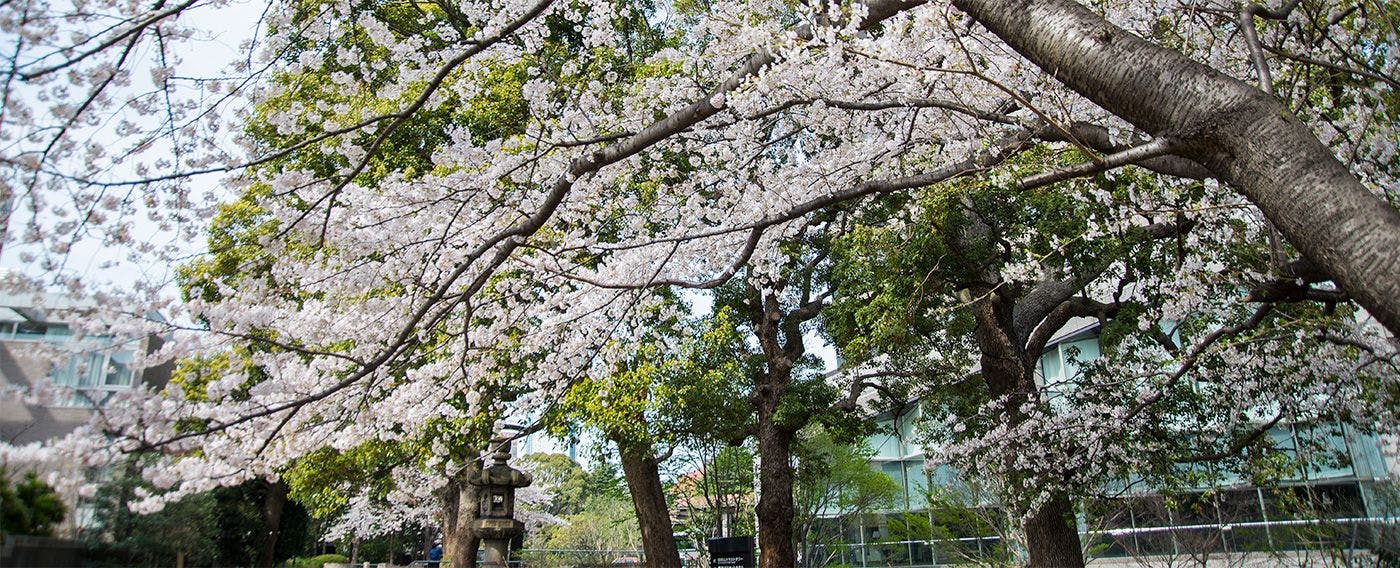 สวนโกเท็นยามะ