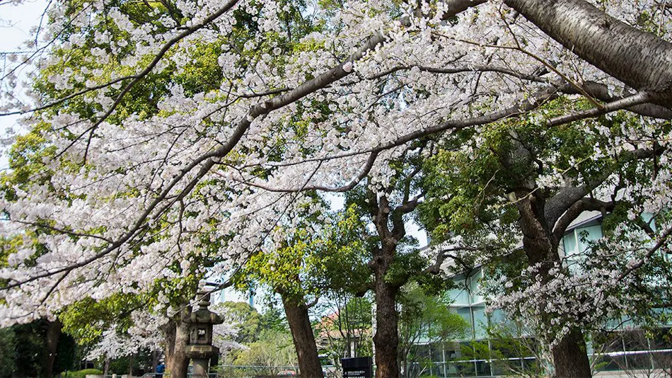 Tokyo Marriott Hotel