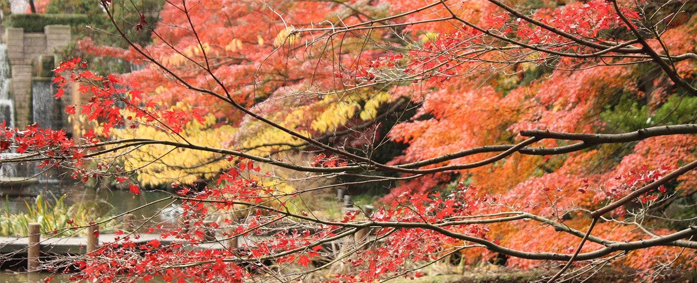 สวนโกเท็นยามะ