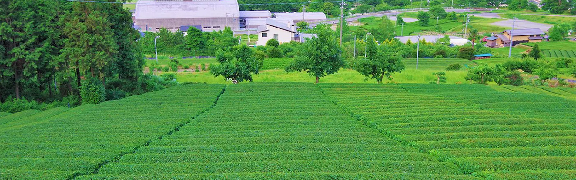 長良川清流ホテル