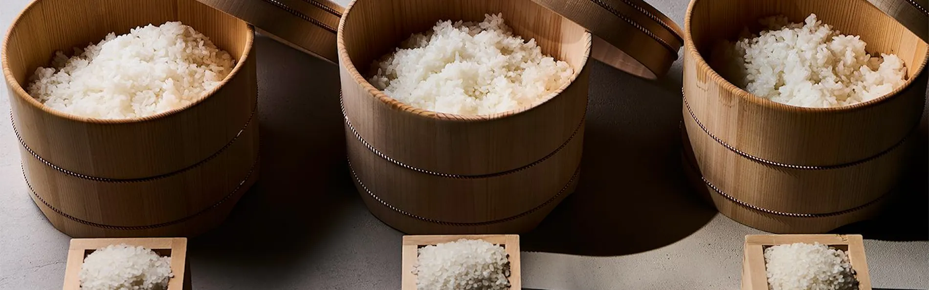 長良川清流ホテル