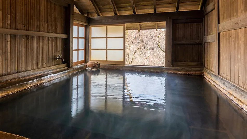 Hiyose Onsen Tenkazan-so
