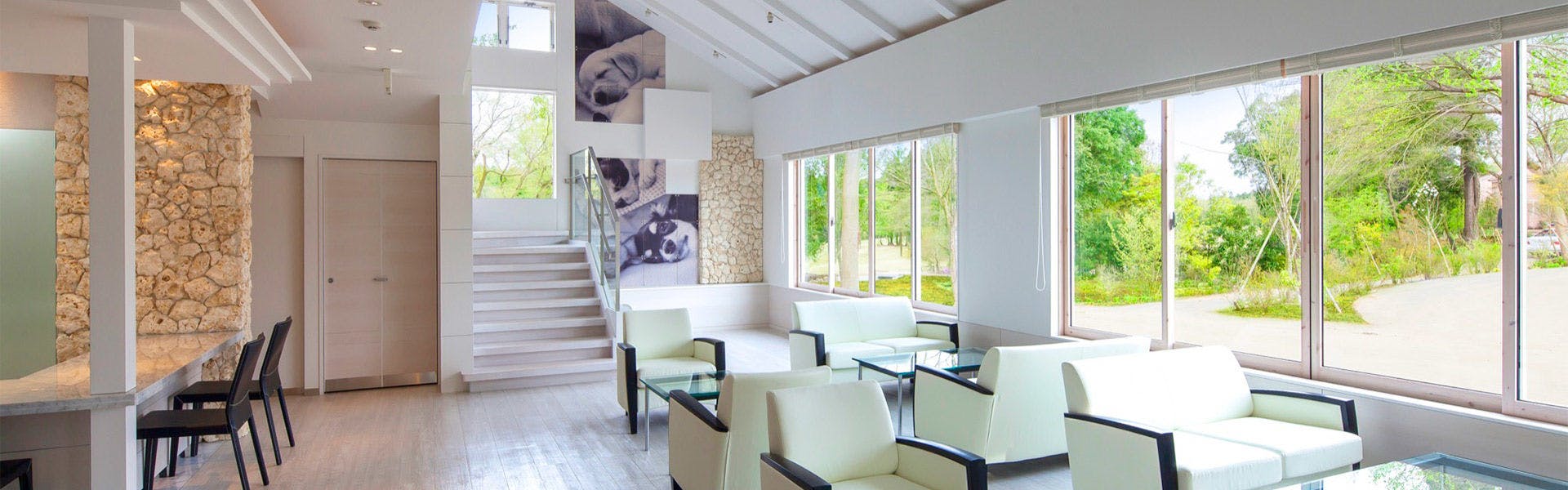 Koyaru no Sato Doggies Island