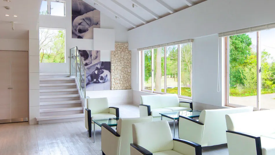 Koyaru no Sato Doggies Island