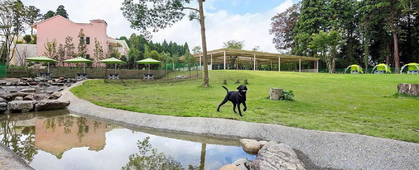 Area bermain khusus untuk anjing ukuran sedang hingga besar