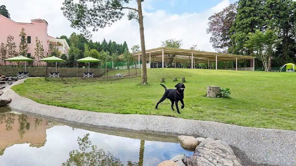 Koyaru no Sato Doggies Island