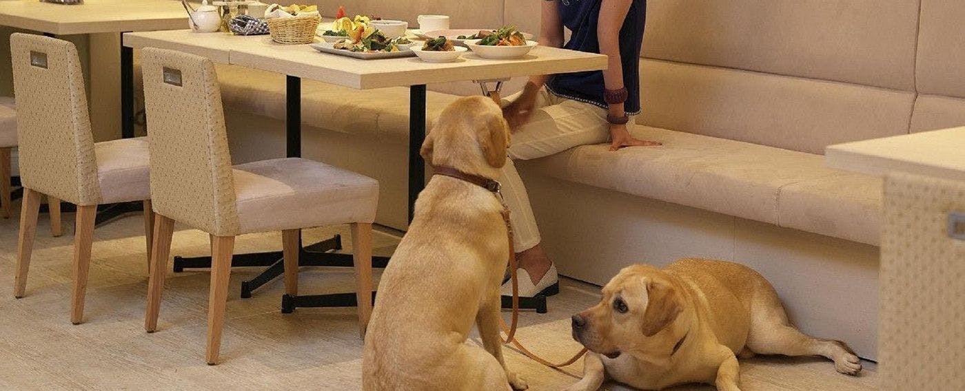 Restoran Doggies Forest Terrace