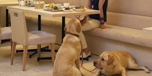 Koyaru no Sato Doggies Island