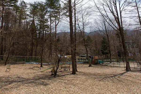 สวนสุนัข