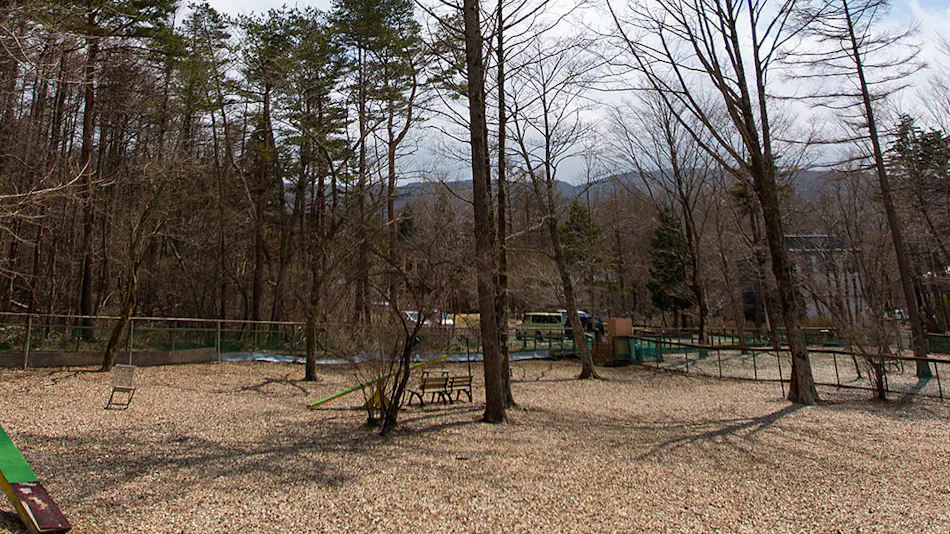 Pet-Friendly Accommodation CARO FORESTA ELFO