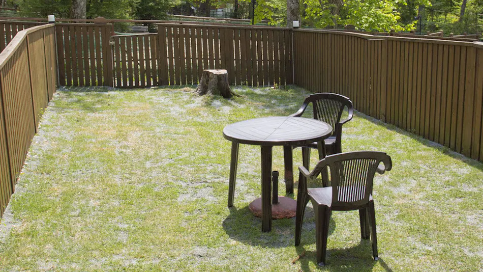 Pet-Friendly Accommodation CARO FORESTA ELFO