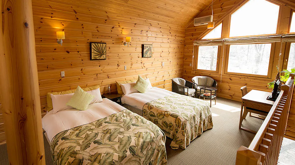 Pet-Friendly Accommodation CARO FORESTA ELFO