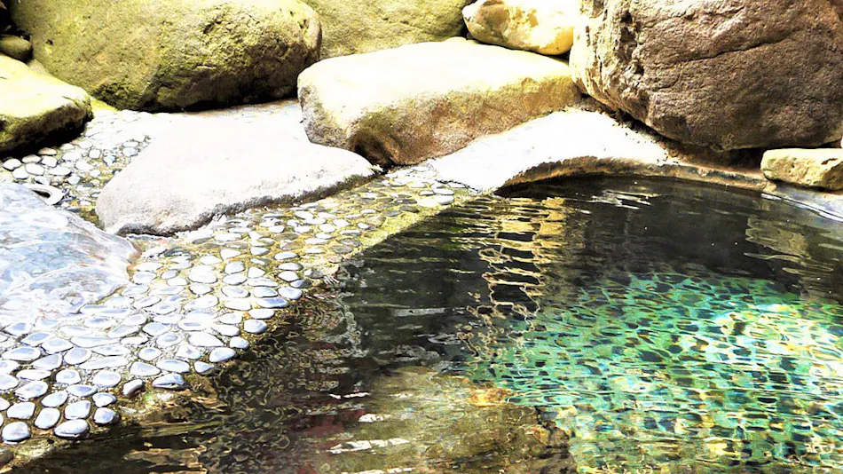 Aizu Higashiyama Onsen Irori no Yado Ashina