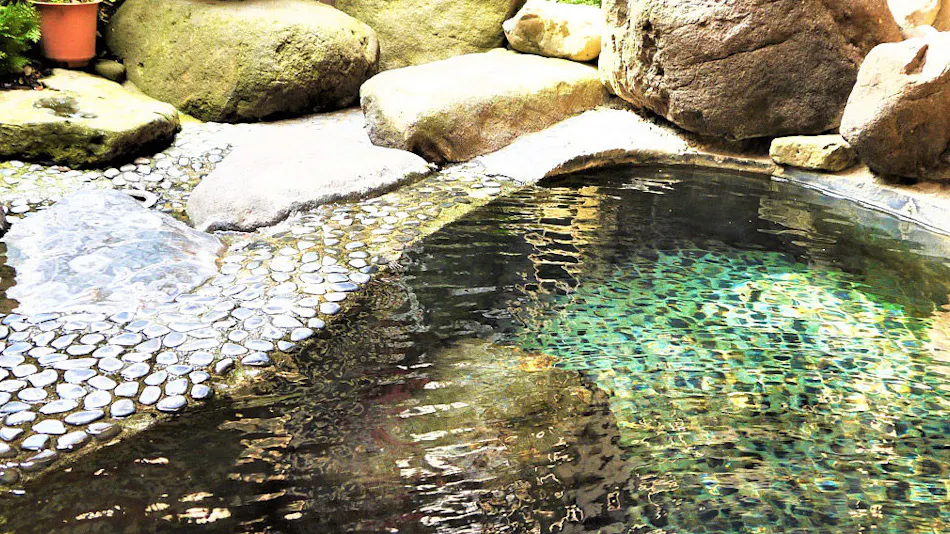 Aizu Higashiyama Onsen Irori no Yado Ashina