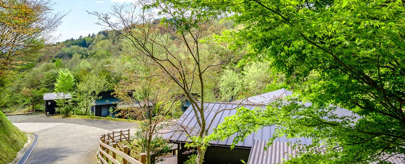 พื้นที่กว้างขวาง