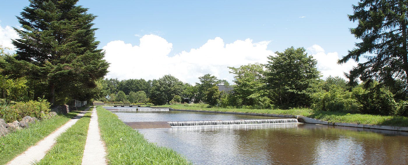 คลองชลประทานมิคาเงะ