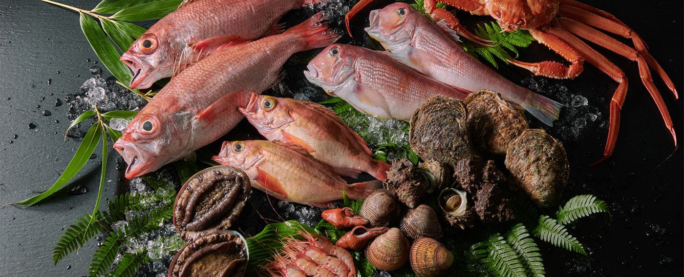金沢湯涌温泉　百楽荘