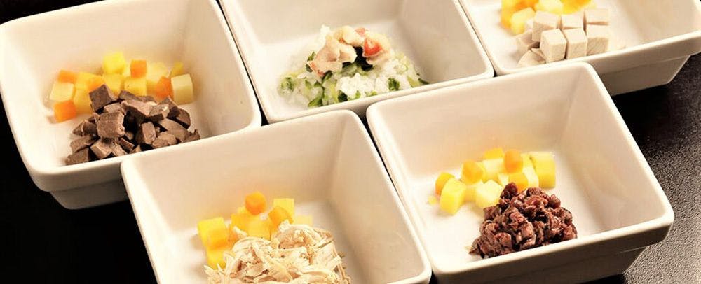 【 わんちゃんのお食事 】 愛犬の体のことを考えぬいた添加物ゼロの手作り料理です