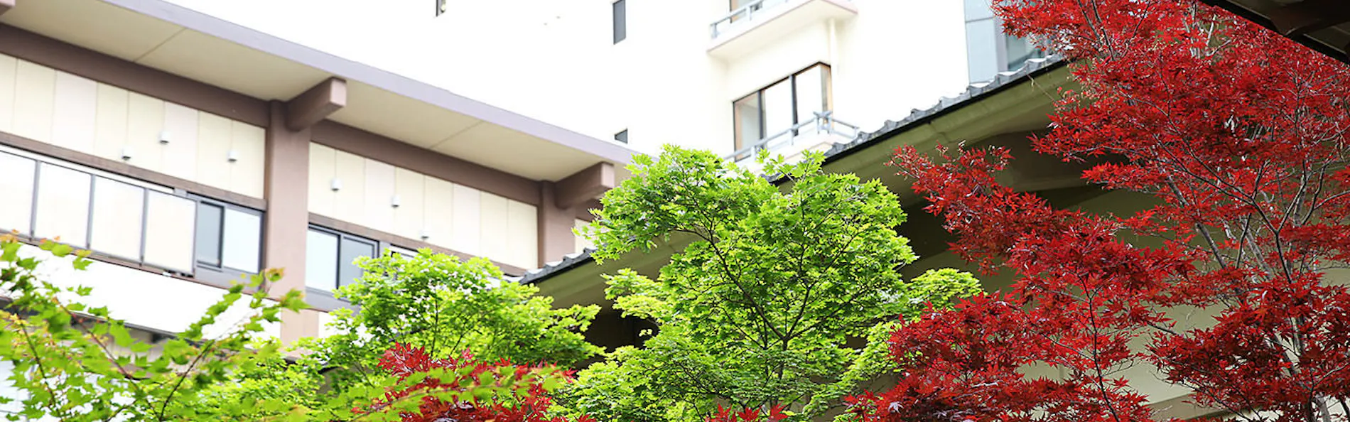 草津温泉 ホテル櫻井
