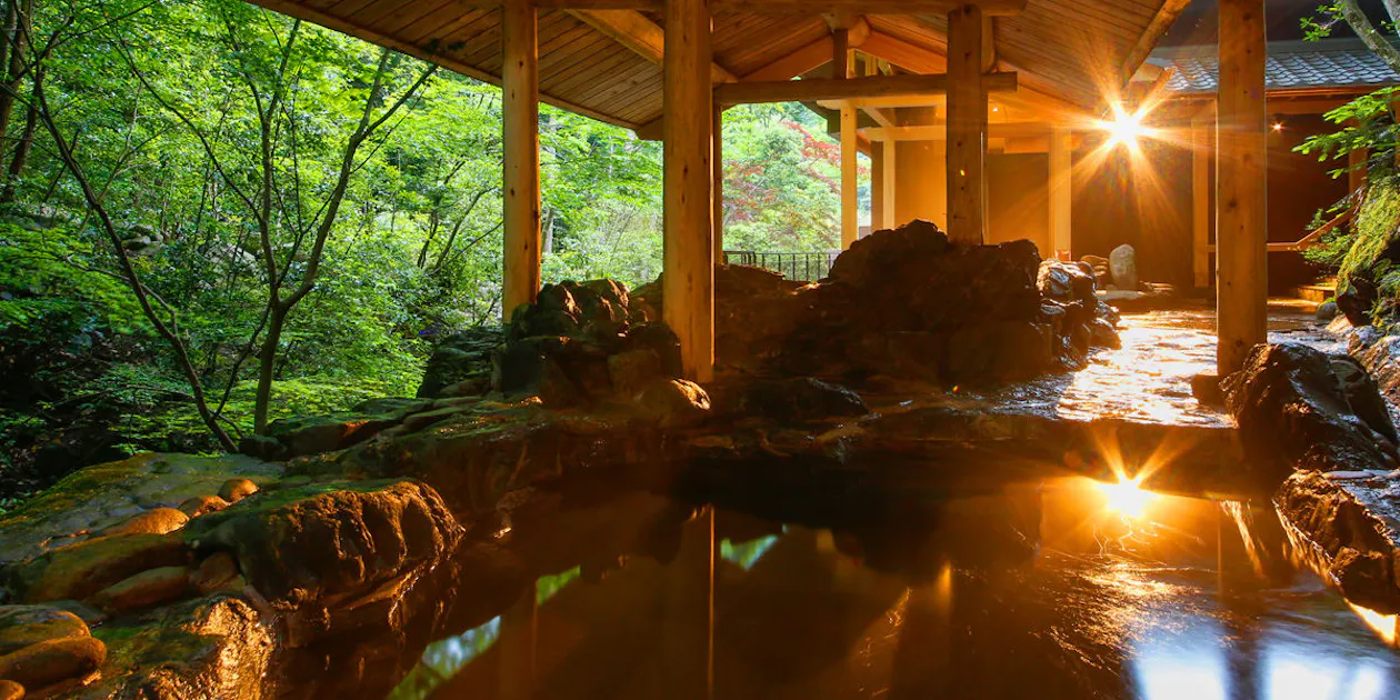 湯山荘 阿讃琴南 — 一休.comでこの宿を見る(広告)