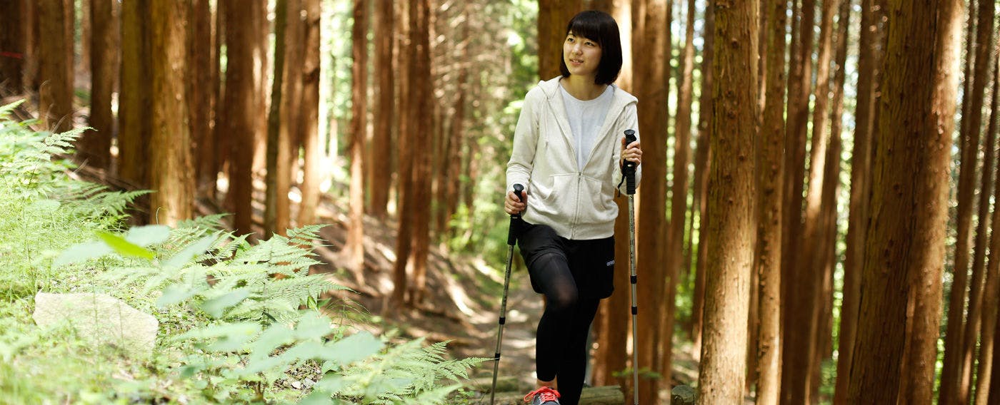 湯山荘 阿讃琴南