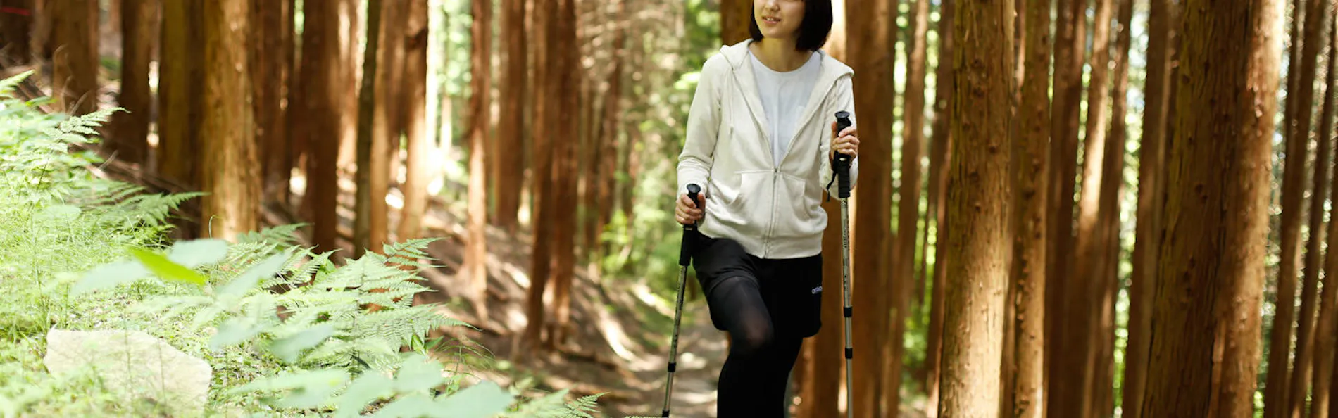 湯山荘 阿讃琴南